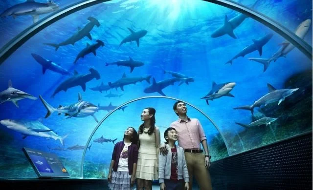 Facing licence review, Resorts World Sentosa counts on $5.3B expansion